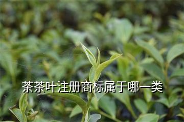 商標類別注冊少了有影響嗎_商標的注冊類別_商標類別注冊錯誤會