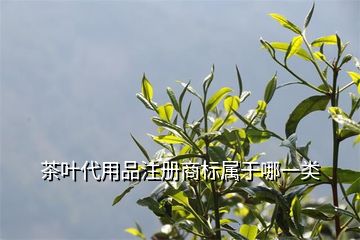 商標類別注冊錯誤會_商標類別注冊少了有影響嗎_商標的注冊類別