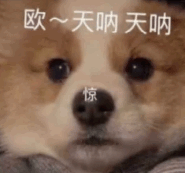 泰國(guó)商標(biāo)注冊(cè)多少錢_注冊(cè)泰國(guó)商標(biāo)多少錢_商標(biāo)泰國(guó)注冊(cè)錢能退嗎