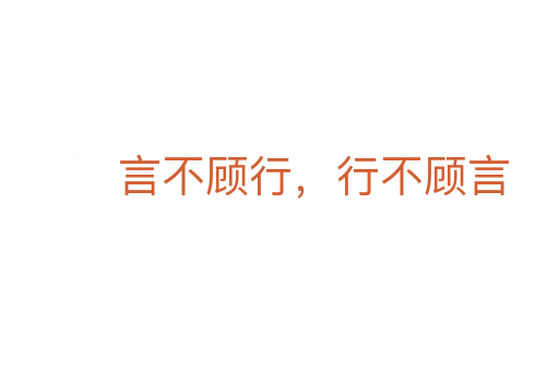 言不顧行,行不顧言