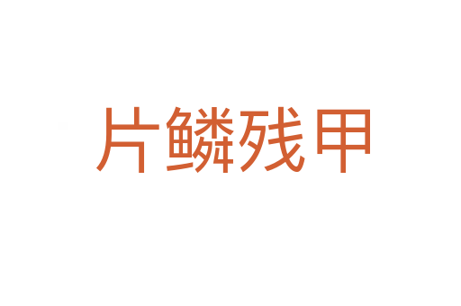 片鱗殘甲
