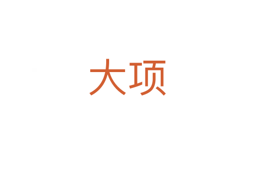 大項