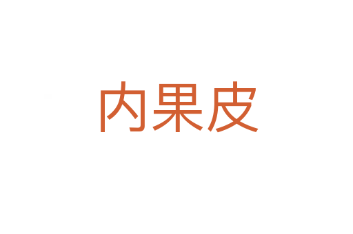內果皮
