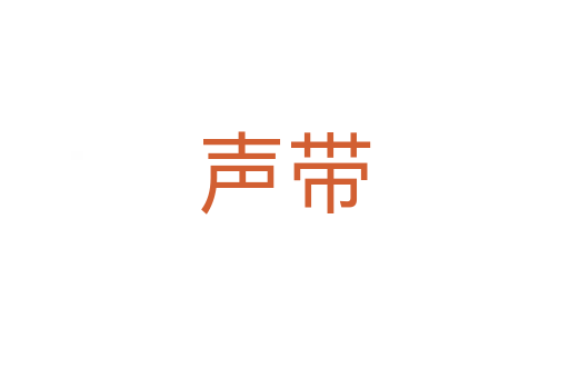 聲帶
