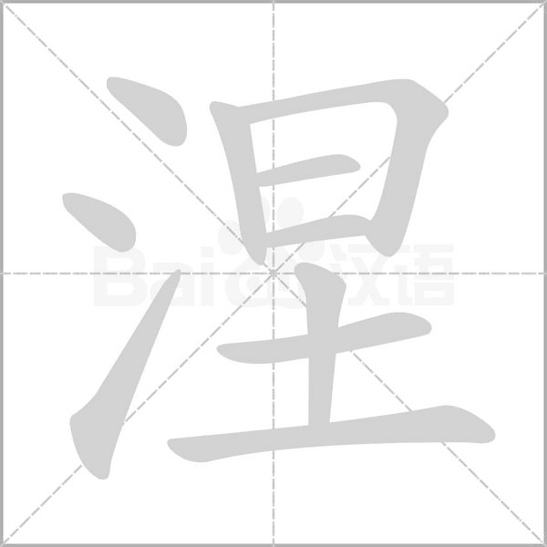 涅的筆順動(dòng)畫演示