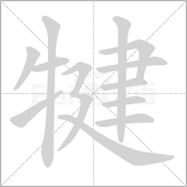 犍的筆順動(dòng)畫演示