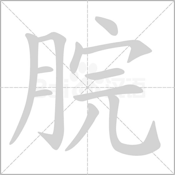 脘的筆順動(dòng)畫(huà)演示