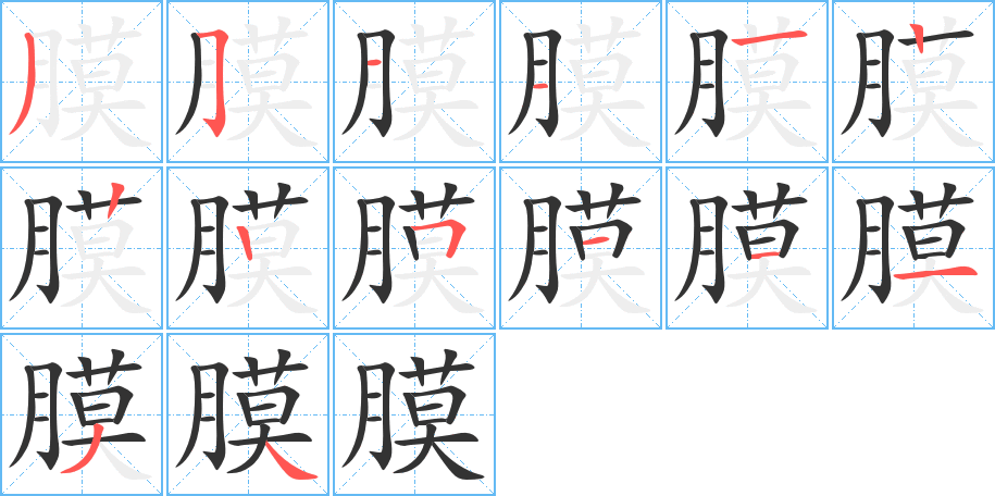 膜的筆順分步演示