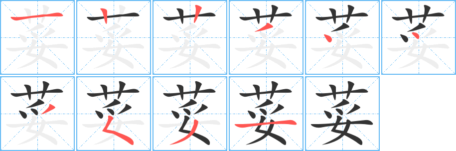 荽的筆順分步演示